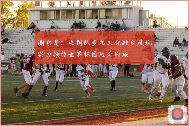 谢尔基：法国队多元文化融合展现实力期待世界杯团结全民族
